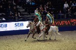 Quadrille - 00238